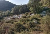 Rural estate for sale on España, Arenas de Cabrales, ref: TR327176 photo