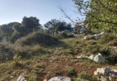 Rural estate for sale on España, Arenas de Cabrales, ref: TR327176 photo