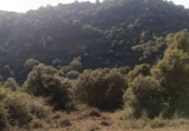 Rural estate for sale on España, Arenas de Cabrales, ref: TR327176 photo
