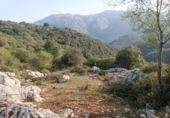 Rural estate for sale on España, Arenas de Cabrales, ref: TR327176 photo