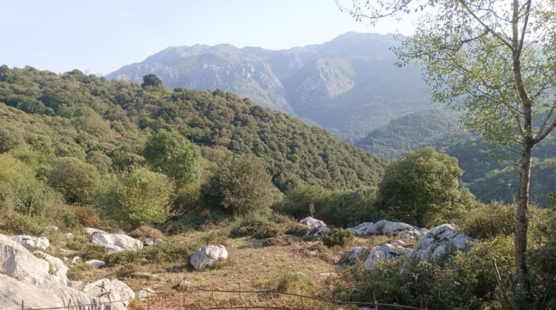 Asturias - Asiego - 7265m2