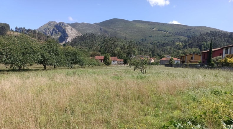 Asturias - Llanes - 2220m2