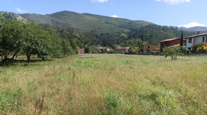 Asturias - Llanes - 2220m2