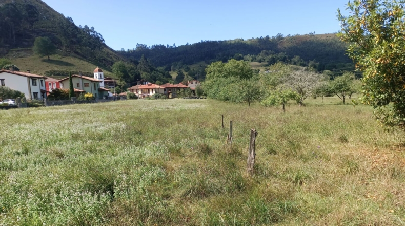 Asturias - Llanes - 2220m2