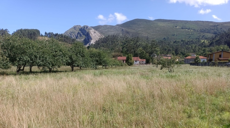 Asturias - Llanes - 2220m2