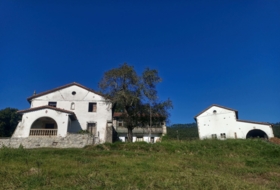 Pimiango 329500&nbsp;m² 