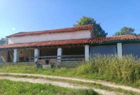 Pimiango 329500&nbsp;m² 