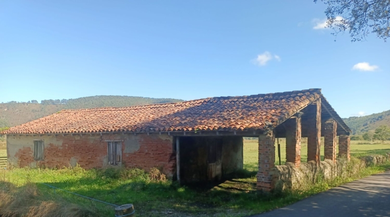 Asturias - Pimiango - 329500m2