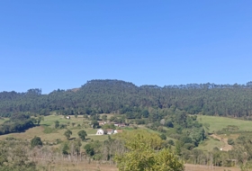 Pimiango 329500&nbsp;m² 