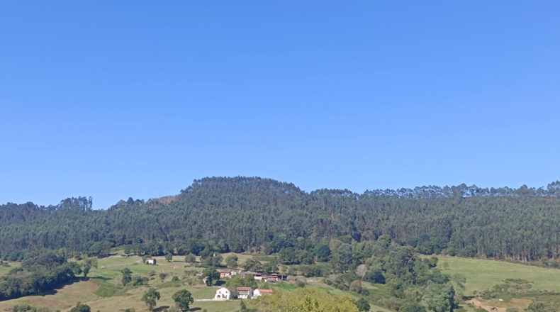Asturias - Pimiango - 329500m2