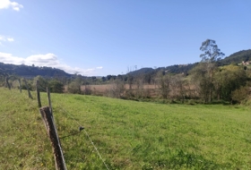 Pimiango 329500&nbsp;m² 