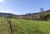 Finca rústica en venda a la España, Pimiango, ref.: TR341252 foto