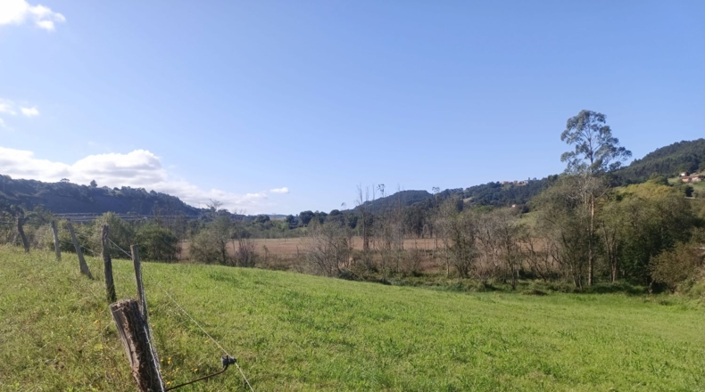 Asturias - Pimiango - 329500m2