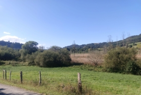 Pimiango 329500&nbsp;m² 