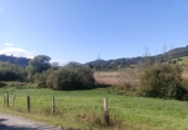 Finca rústica en venda a la España, Pimiango, ref.: TR341252 foto