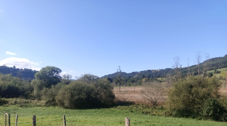 Asturias - Pimiango - 329500m2