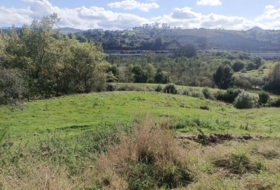 Pimiango 329500&nbsp;m² 