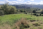 Finca rústica en venda a la España, Pimiango, ref.: TR341252 foto