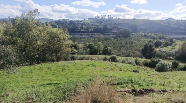 Asturias - Pimiango - 329500m2