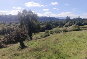 Pimiango 329500&nbsp;m² 