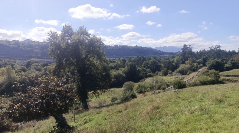 Asturias - Pimiango - 329500m2