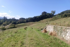 Pimiango 329500&nbsp;m² 