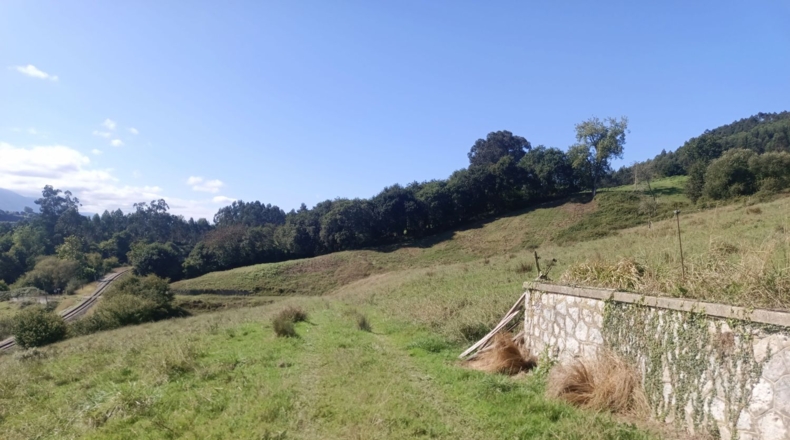 Asturias - Pimiango - 329500m2