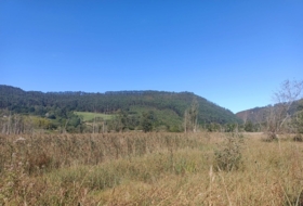 Pimiango 329500&nbsp;m² 