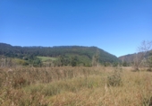 Finca rústica en venda a la España, Pimiango, ref.: TR341252 foto