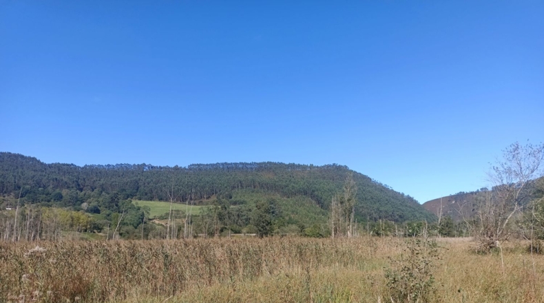 Asturias - Pimiango - 329500m2