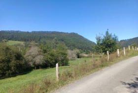 Pimiango 329500&nbsp;m² 