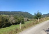 Finca rústica en venda a la España, Pimiango, ref.: TR341252 foto