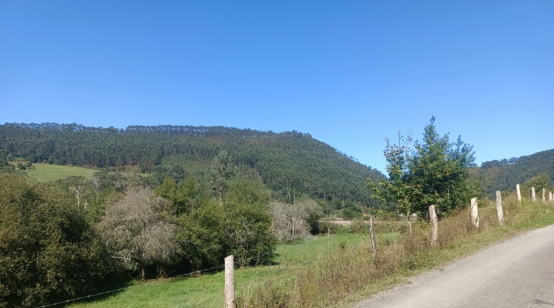 Asturias - Pimiango - 329500m2