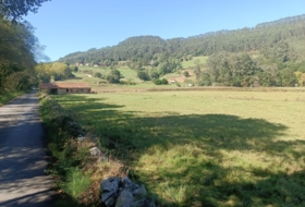 Pimiango 329500&nbsp;m² 