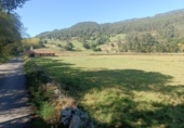 Finca rústica en venda a la España, Pimiango, ref.: TR341252 foto