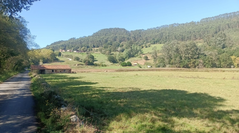 Asturias - Pimiango - 329500m2