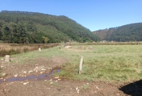 Pimiango 329500&nbsp;m² 