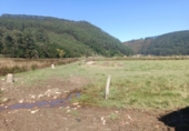 Finca rústica en venda a la España, Pimiango, ref.: TR341252 foto