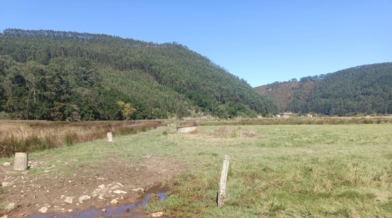 Asturias - Pimiango - 329500m2