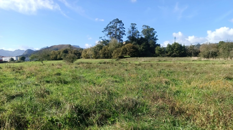 Asturias - Llanes - 340m2