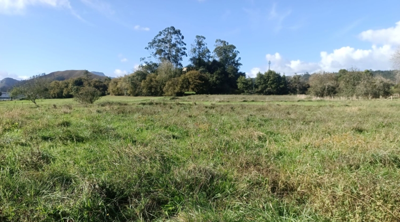 Asturias - Llanes - 340m2