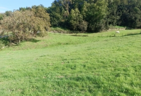Ribadesella 1310&nbsp;м²