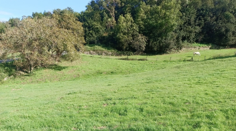 Asturias - Ribadesella - 1310m2