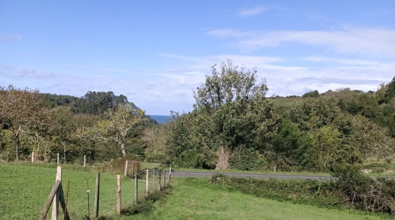 Asturias - Ribadesella - 1310m2