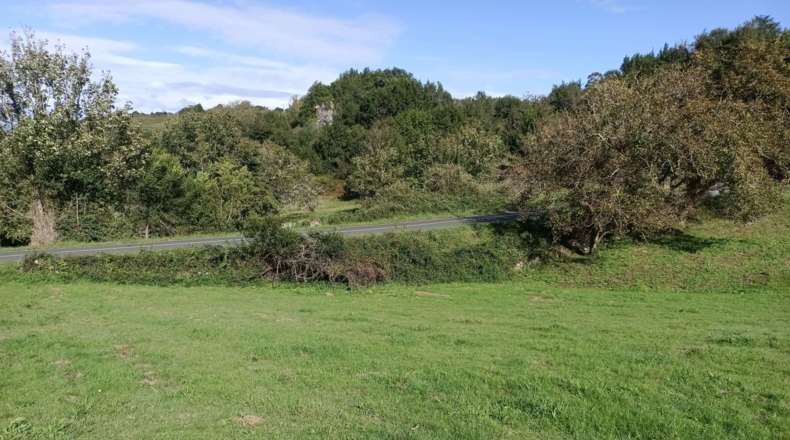 Asturias - Ribadesella - 1310m2
