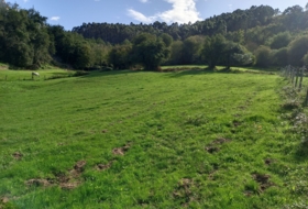 Ribadesella 1310&nbsp;м²
