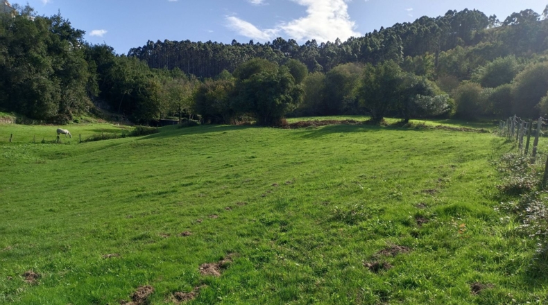 Asturias - Ribadesella - 1310m2
