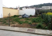 Urban land for sale in Guadalcanal ref: TR11889 photo