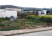 Urban land for sale in Guadalcanal ref: TR11889 photo
