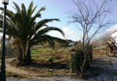 Xalet independent amb terreny en venda a la España, Guadalcanal, ref.: TR12866 foto